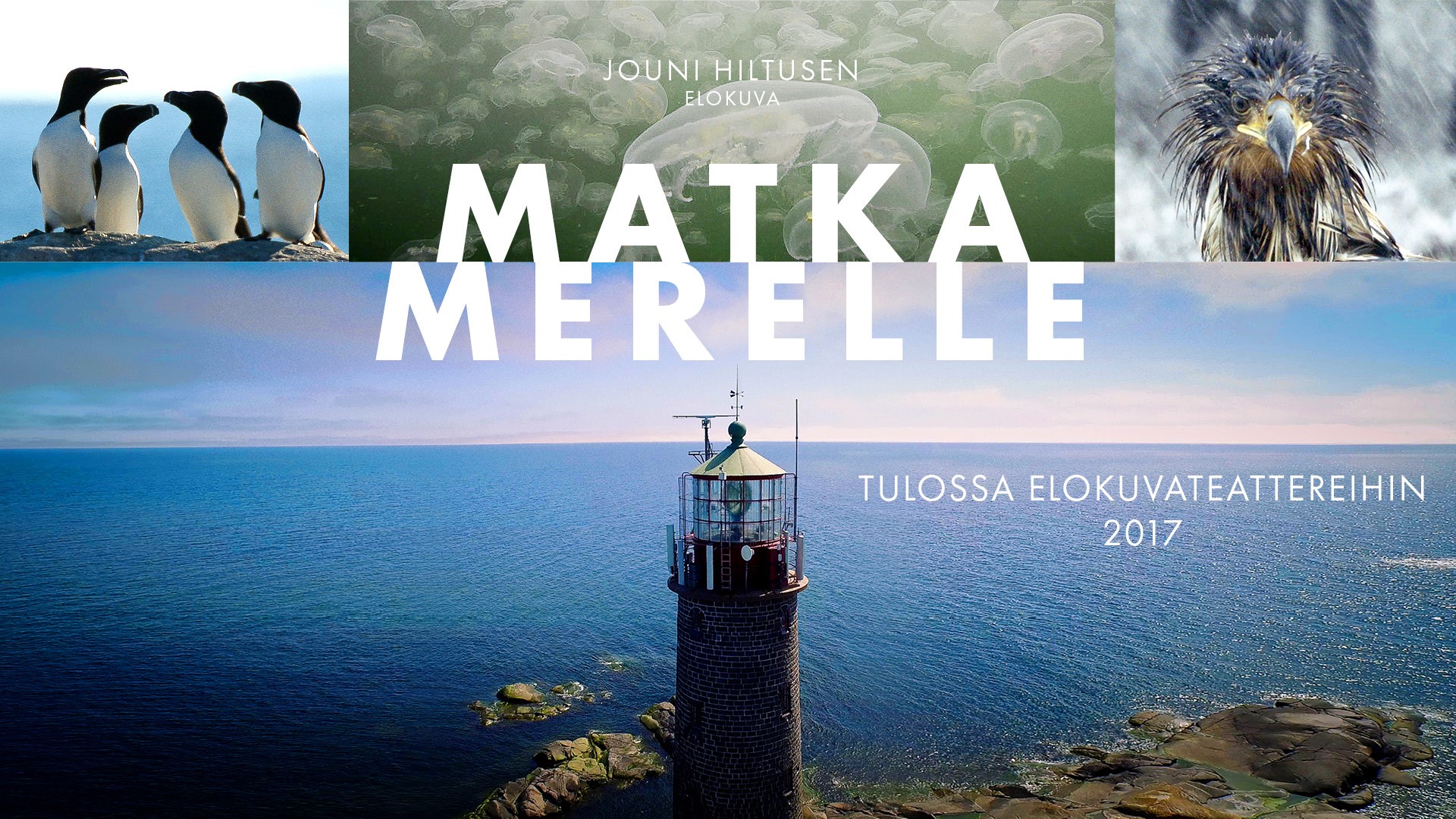 MATKA MERELLE - Koko perheen luontoelokuva eräästä maailman kauneimmasta,<br />mutta samalla herkimmin haavoittuvasta merialueesta, Suomenlahdesta. 